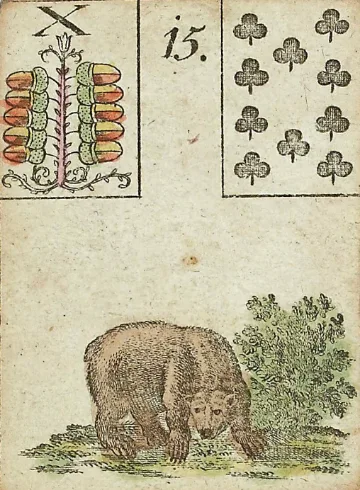 Bear Lenormand card (15)