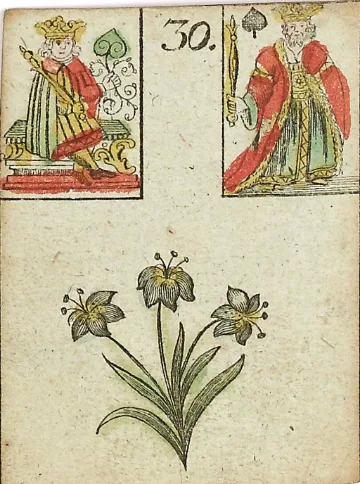 Lily Lenormand card (30)